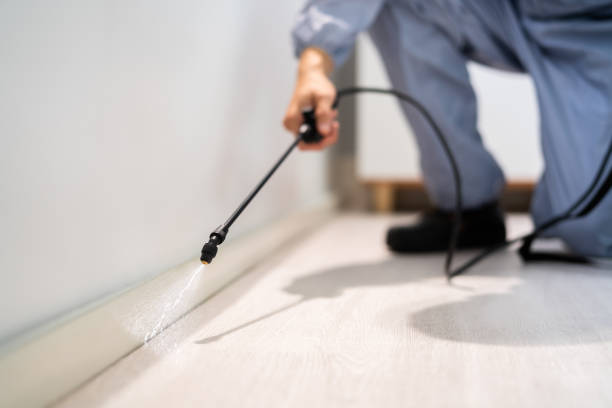 Licensed Pest Control service in Wheeler County County, OR - Nex Pest Control