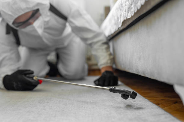 Professional Pest Control technician working in Wheeler County County, OR